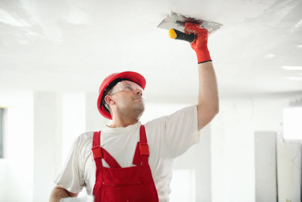 Best Drywall Sanding and Smoothing  in Erlanger, KY