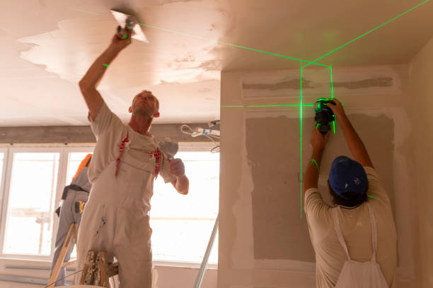 Best Drywall Removal and Disposal  in Erlanger, KY